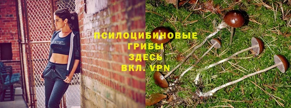 MDMA Заречный