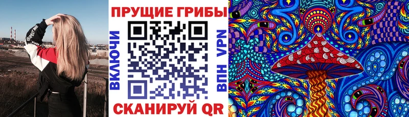Галлюциногенные грибы Magic Shrooms  KRAKEN маркетплейс  Красный Кут 